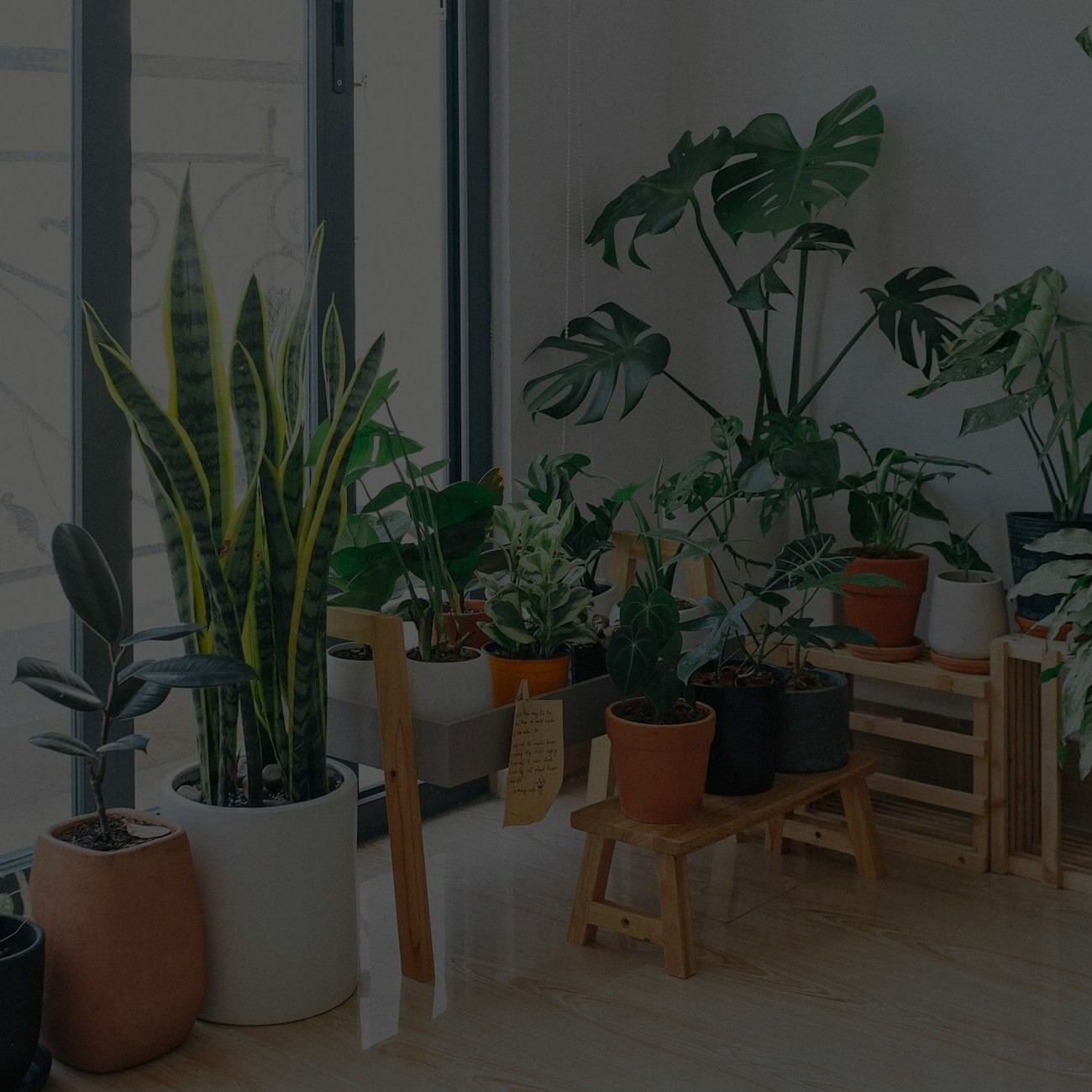 Black Living Room with Plants