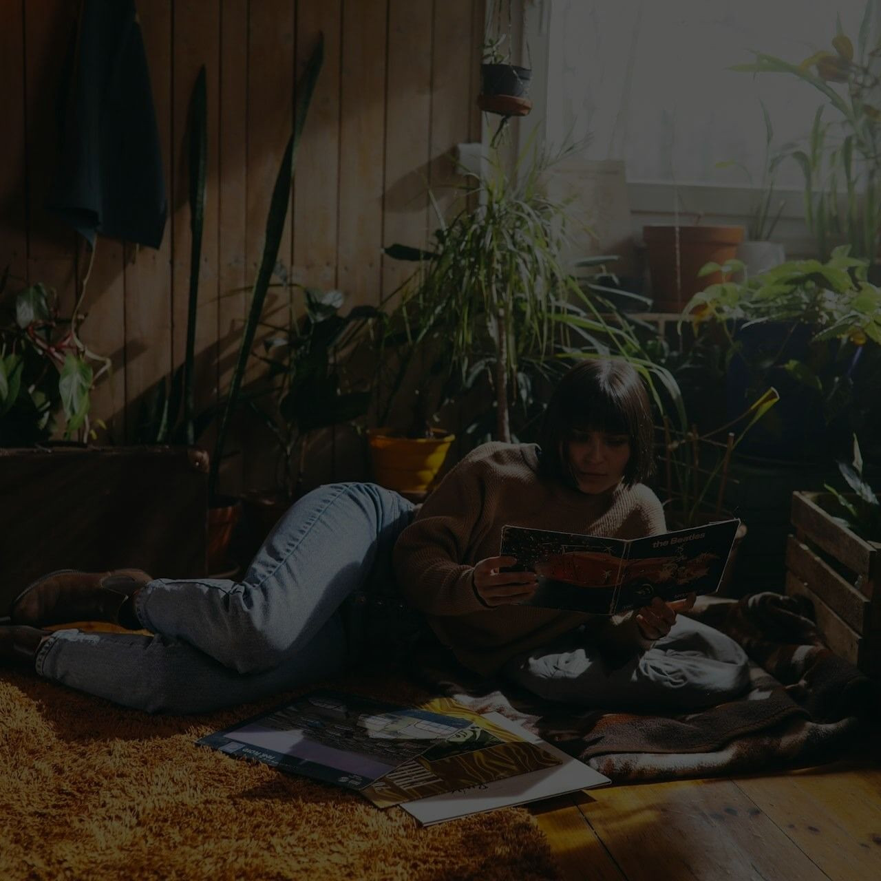 Green Plant Living Room