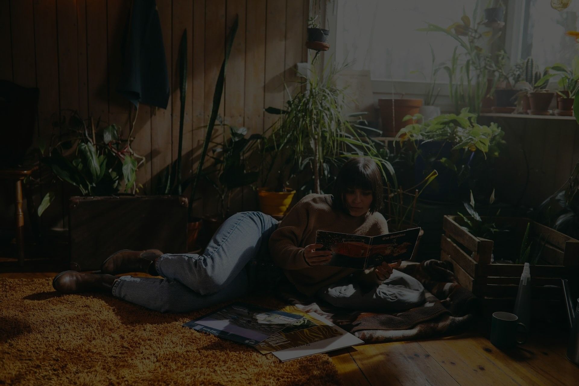 Green Plant Living Room