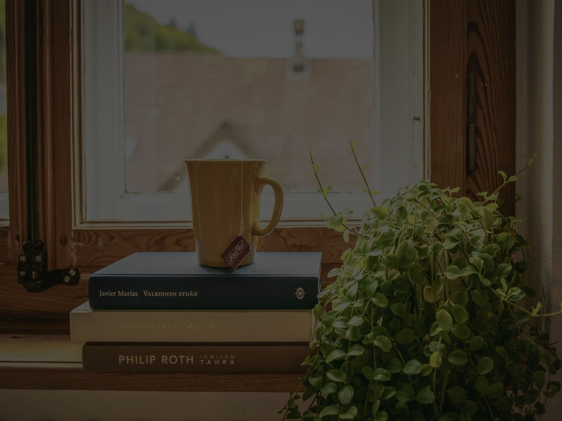 Indoor Plants with Vines